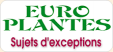 Vente de plantes à Sainte Maxime : Europlantes